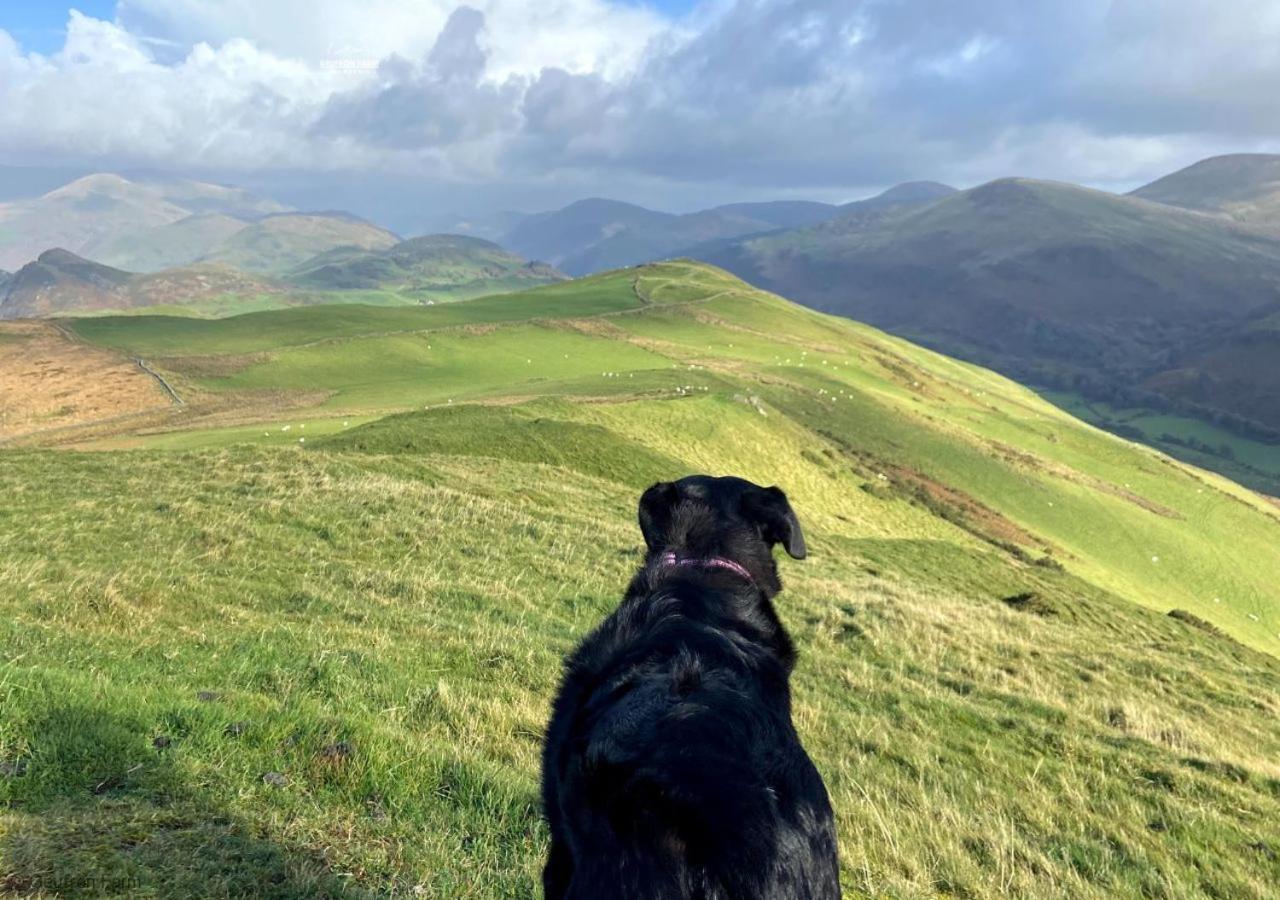 Farmhouse & Cottage At Geufron Farm - Dog Friendly Bryn-crug Exteriör bild